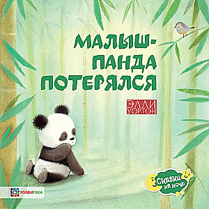 Mazais pandu zēns ir pazudis