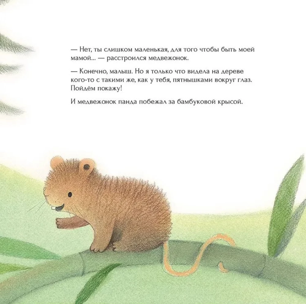 Mazais pandu zēns ir pazudis