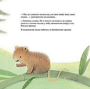 Mazais pandu zēns ir pazudis