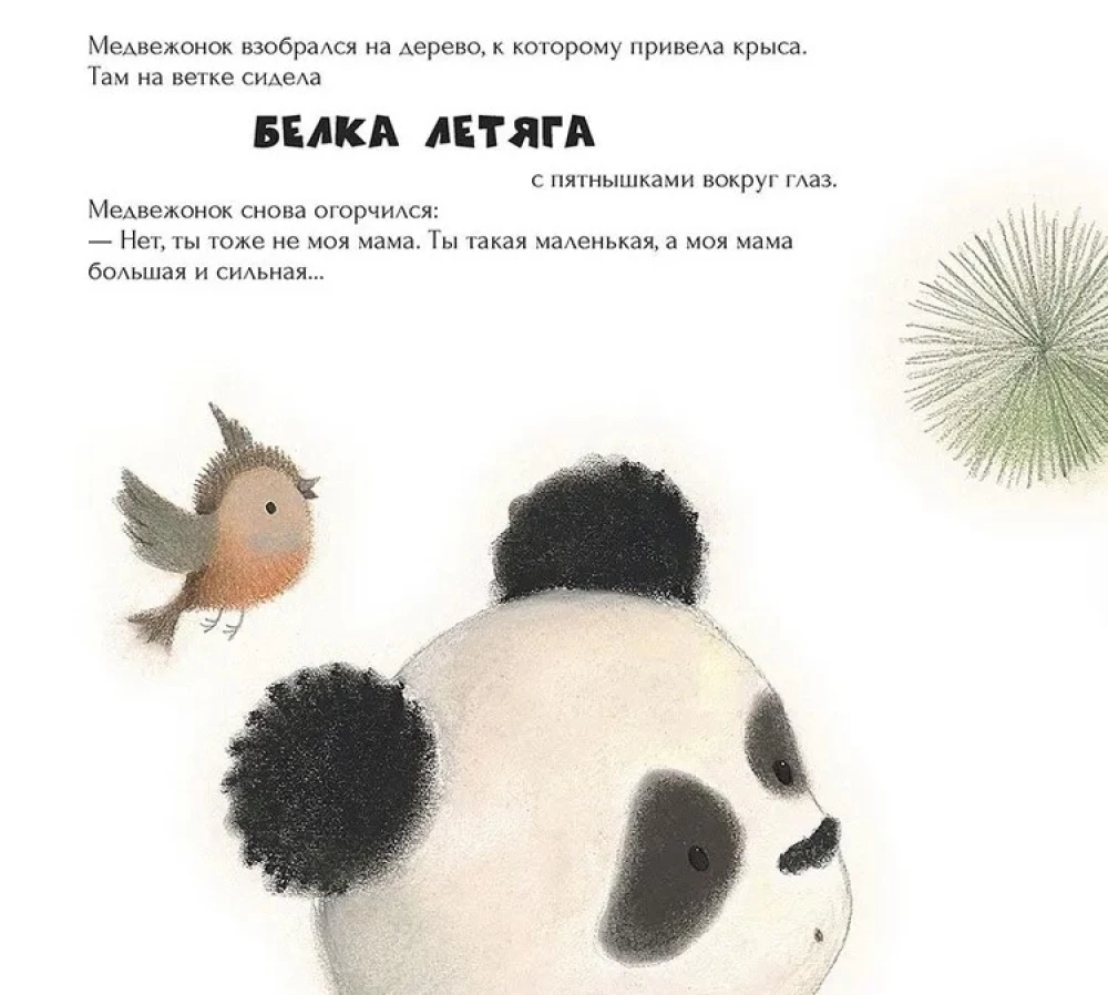 Mazais pandu zēns ir pazudis