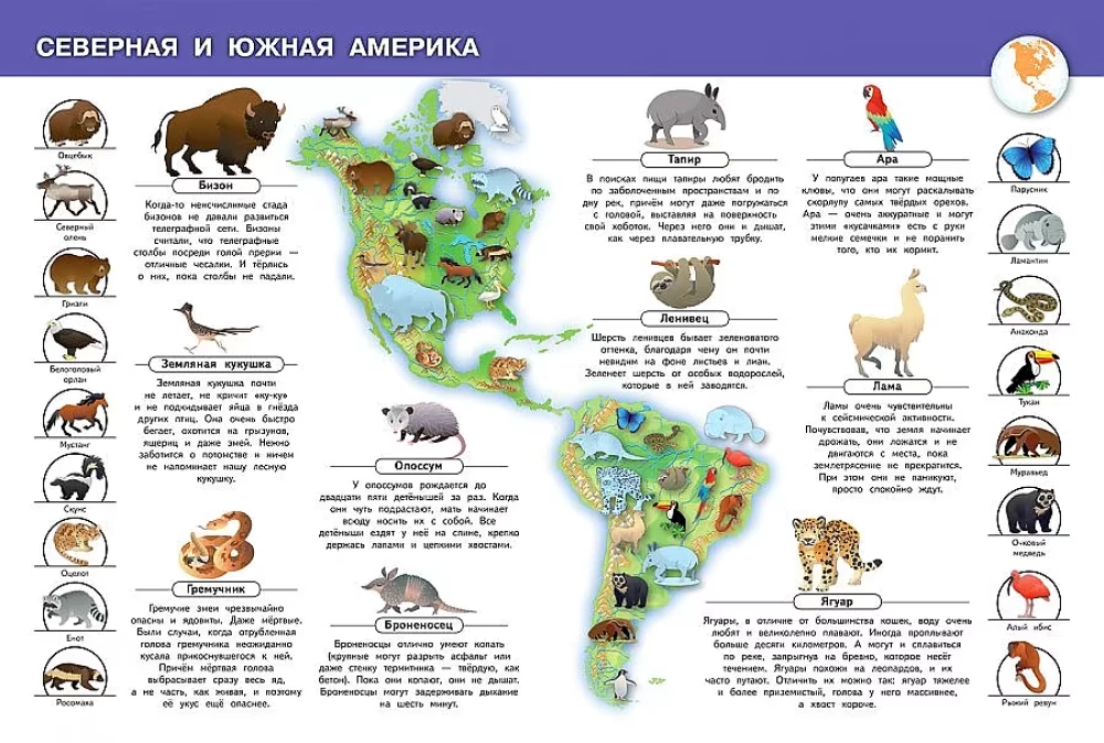 Dzīvnieki mūsu planētā. Mana pirmā enciklopēdija ar uzlīmēm