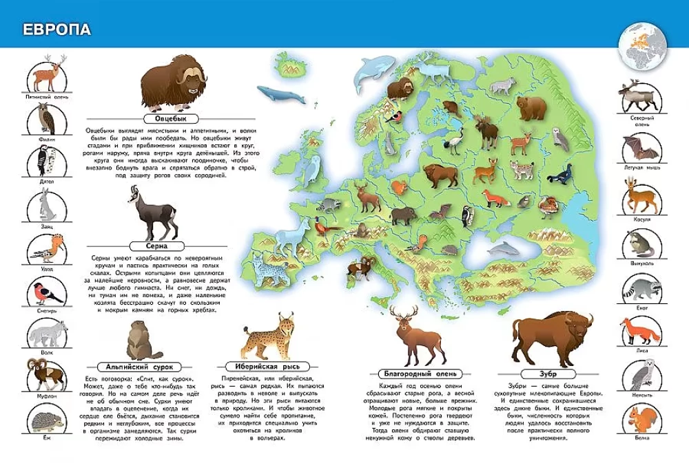 Dzīvnieki mūsu planētā. Mana pirmā enciklopēdija ar uzlīmēm