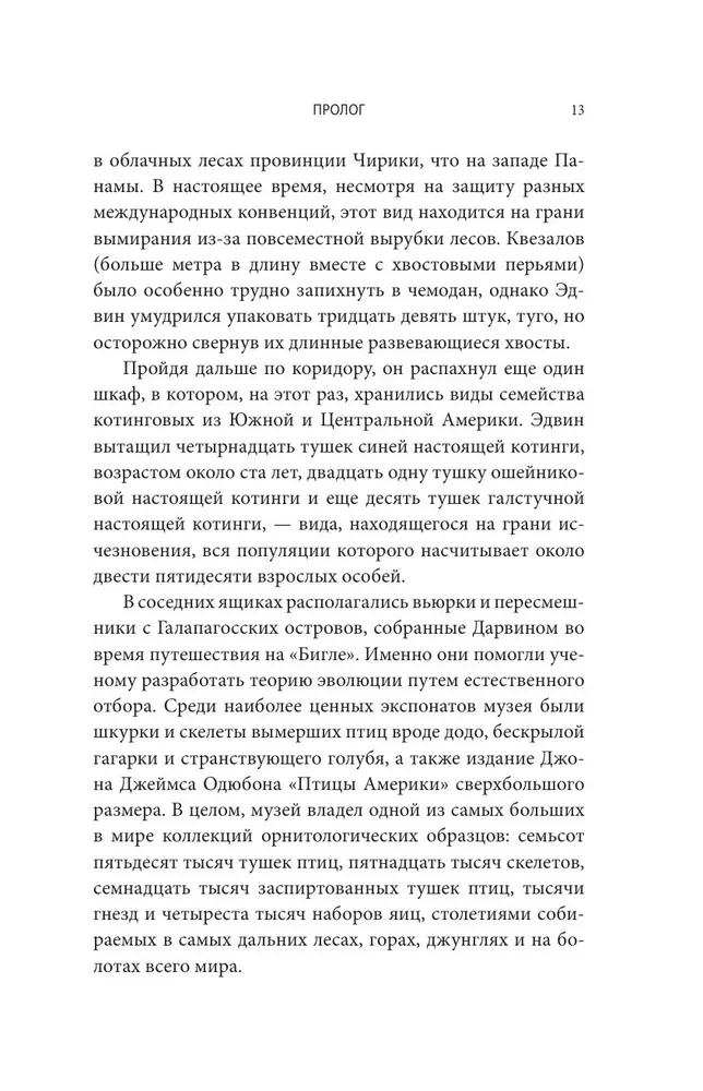 Похититель перьев или самая странная музейная кража