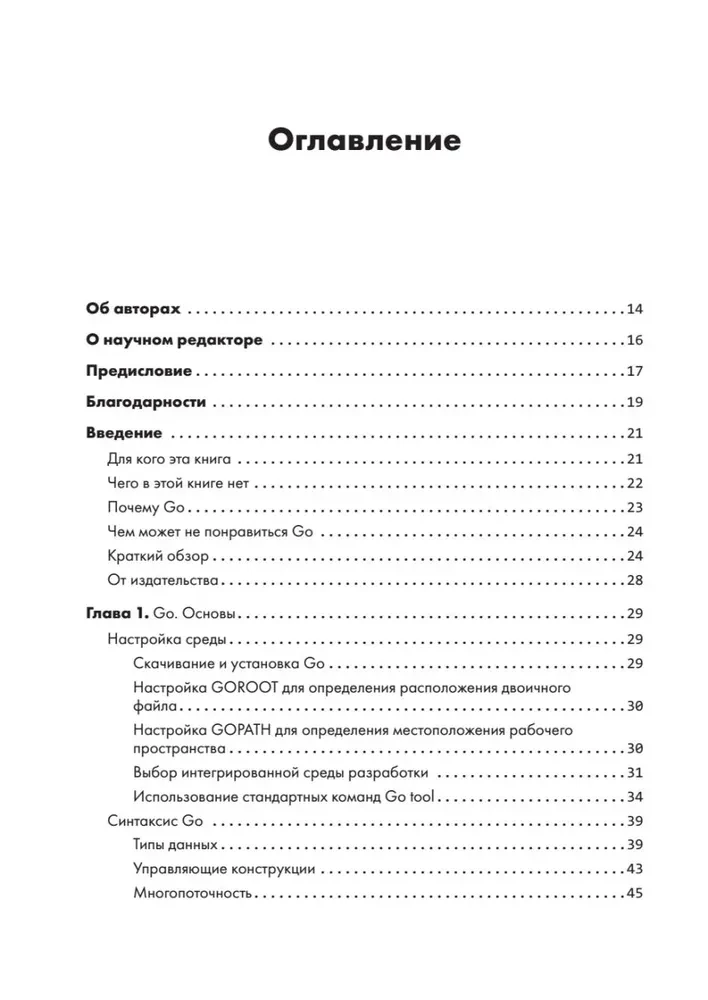 Black Hat Go. Программирование для хакеров и пентестеров