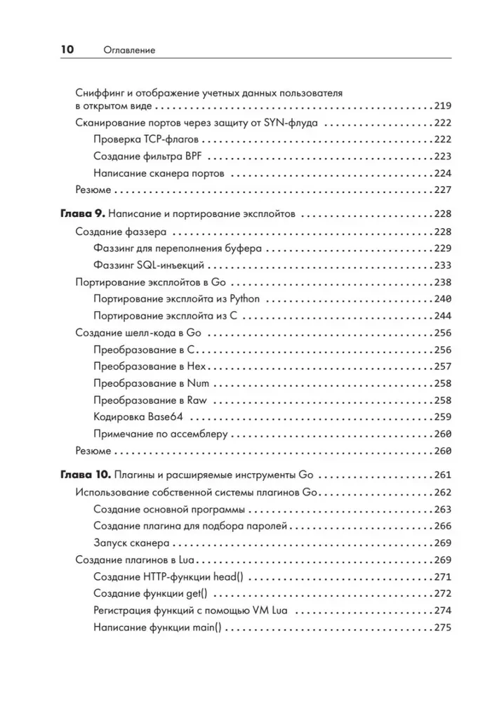 Black Hat Go. Программирование для хакеров и пентестеров