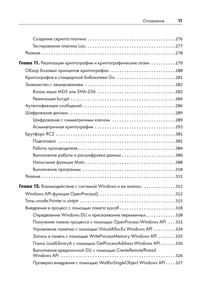 Black Hat Go. Программирование для хакеров и пентестеров
