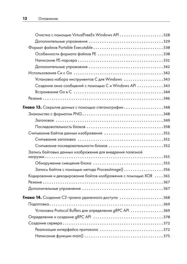 Black Hat Go. Программирование для хакеров и пентестеров