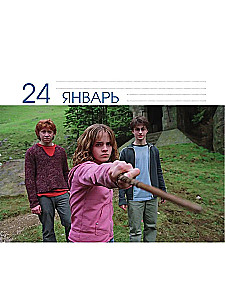 Гарри Поттер. Многолетний настольный календарь в футляре