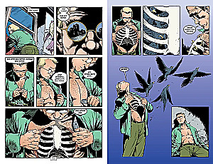The Sandman. Песочный человек. Книга 5. Игра в тебя