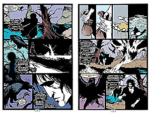 The Sandman. Песочный человек. Книга 5. Игра в тебя