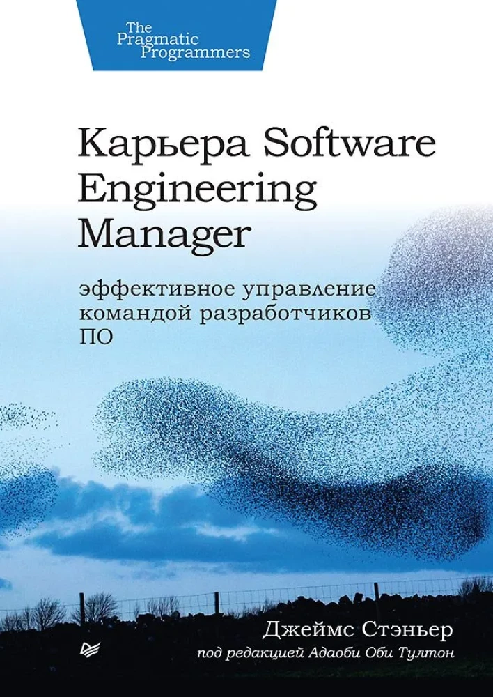 Karjera Software Engineering Manager. Efektīva programmatūras izstrādātāju komandas vadība