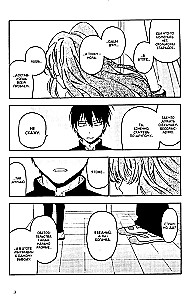 ToraDora. Tīģeris un Pūķis. 11. sējums