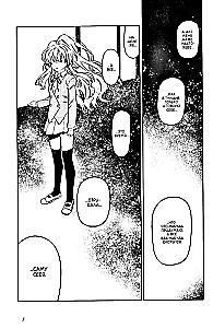 ToraDora. Tīģeris un Pūķis. 11. sējums