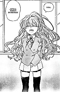 ToraDora. Tīģeris un Pūķis. 11. sējums