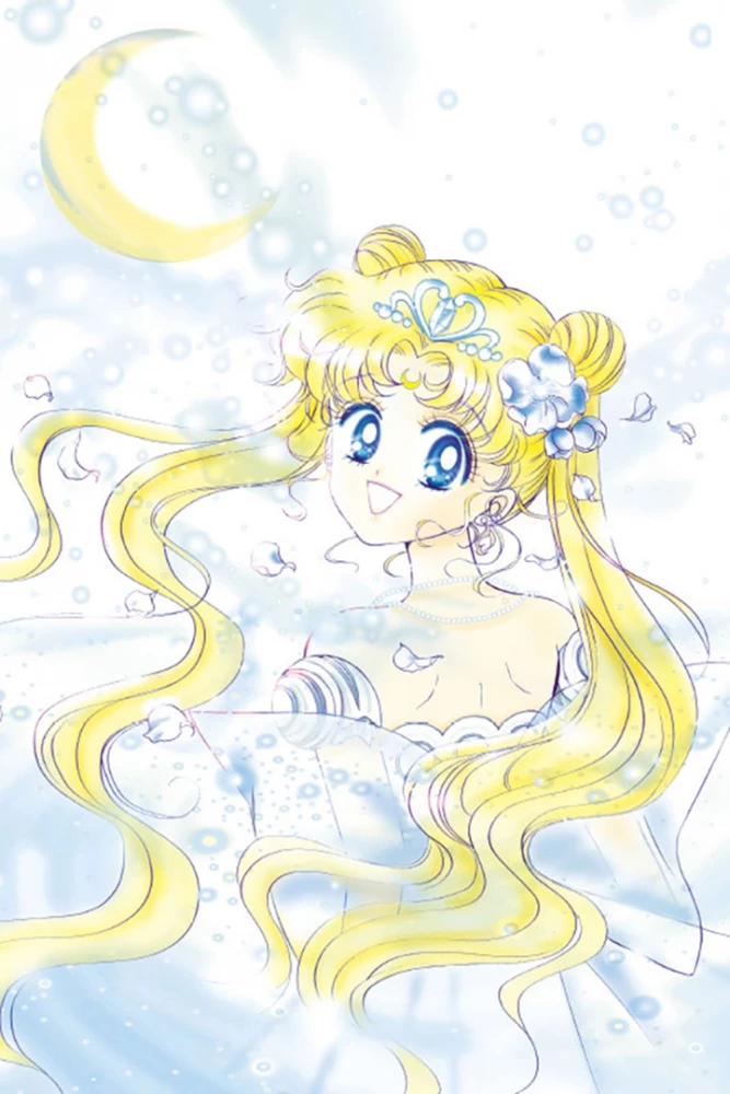 Skaistais karotājs Sailor Moon. Sailor Moon. 1. sējums