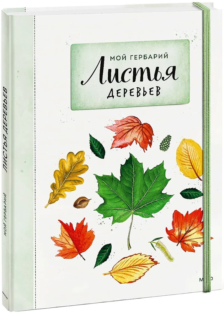 Mans herbārijs. Koku lapas