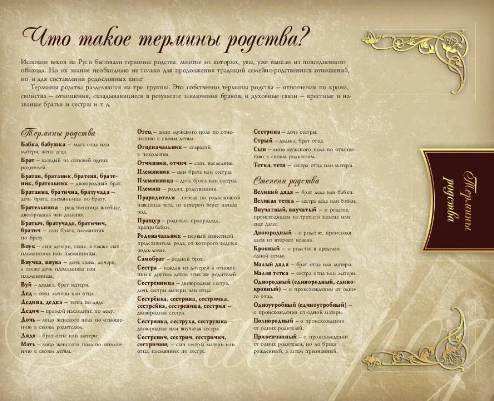 Родословная книга нашей семьи