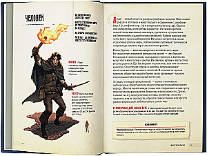 Dungeons & Dragons. Varoni un viņu ekipējums