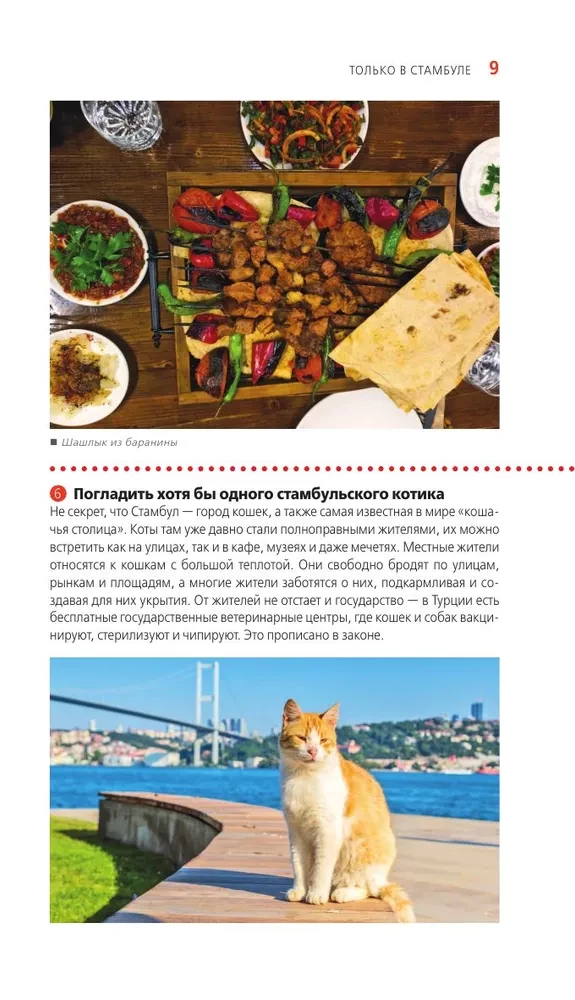 Stambula. Vēsturiskais centrs, Āzijas krasts Bosforā un Princu salas. Ceļvedis