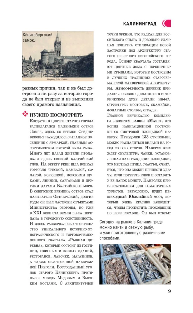 Калининградская область. Путеводитель пешеходам
