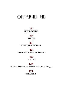 Зачем художнику детали? Вишни, голуби, розы и другие символы