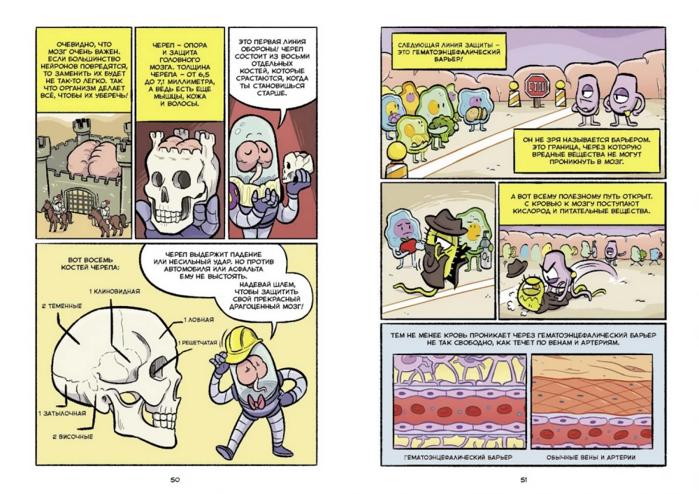 Smadzenes. Zinātniskais komikss