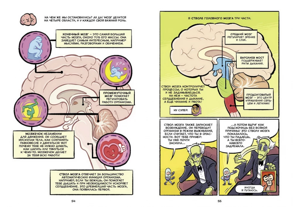 Smadzenes. Zinātniskais komikss