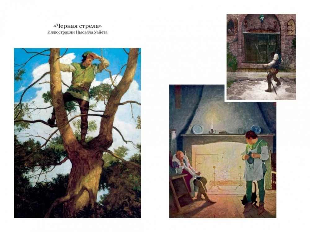 Остров Сокровищ. Черная стрела. Похищенный. Катриона
