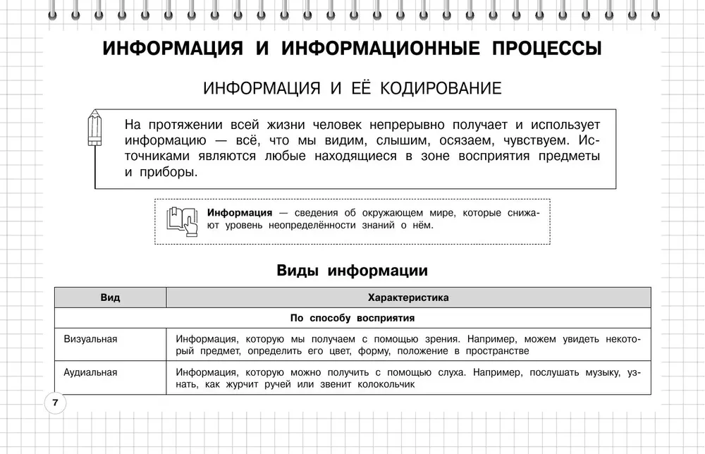 Информатика: 5-11 классы