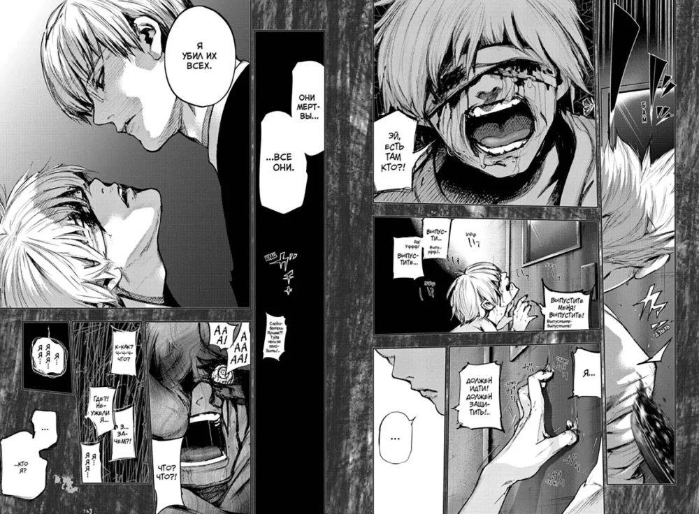 Tokijas gūls: re. Grāmata 4