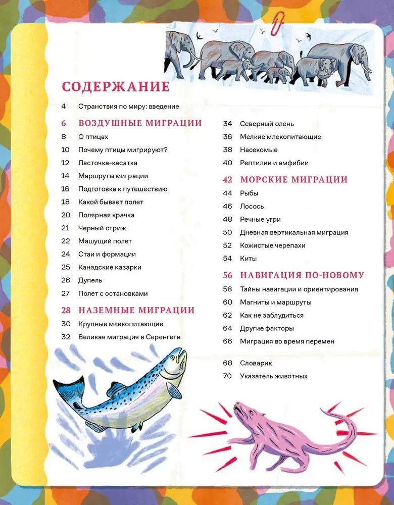 Neticami ceļojumi dzīvnieku pasaulē. Navigācija un migrācija pa gaisu, zemi un jūru