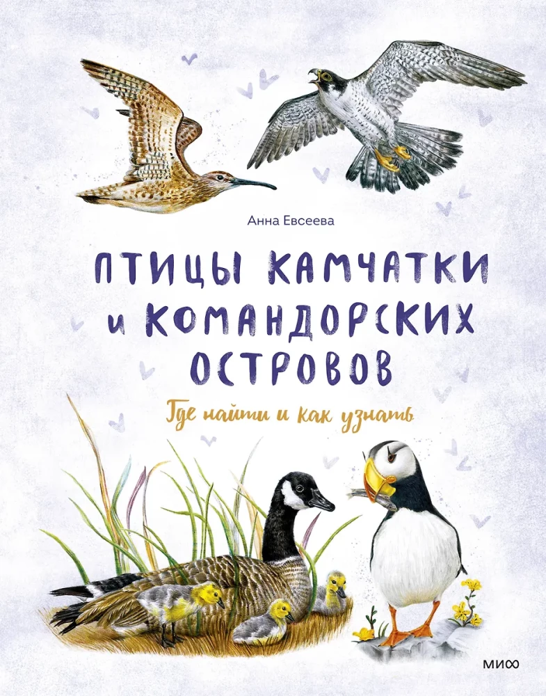 Putni Kamčatkā un Komandoru salās. Kur atrast un kā atpazīt