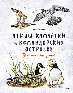 Putni Kamčatkā un Komandoru salās. Kur atrast un kā atpazīt