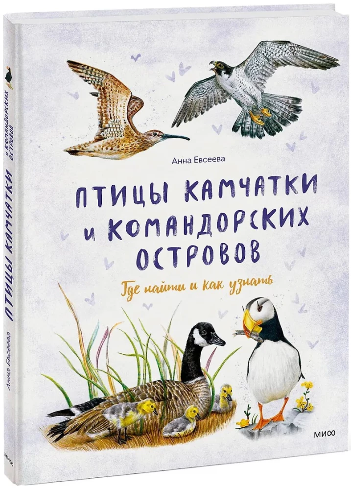 Putni Kamčatkā un Komandoru salās. Kur atrast un kā atpazīt