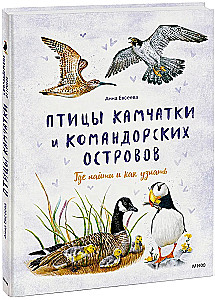 Putni Kamčatkā un Komandoru salās. Kur atrast un kā atpazīt
