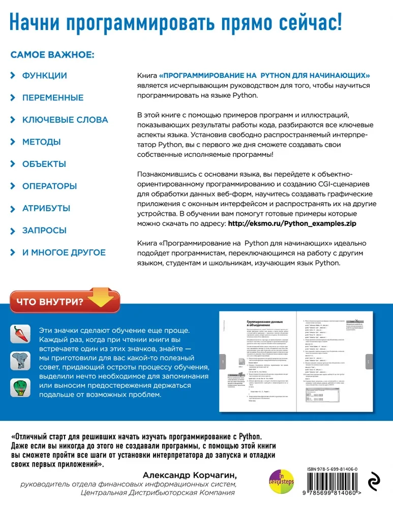 Программирование на Python для начинающих