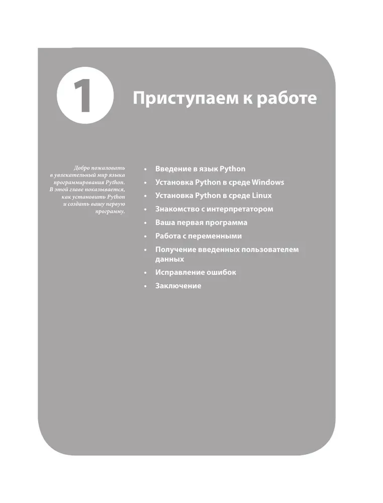 Программирование на Python для начинающих