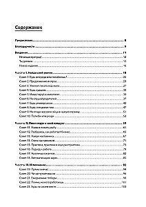 Programmatīvs-fanātiķis
