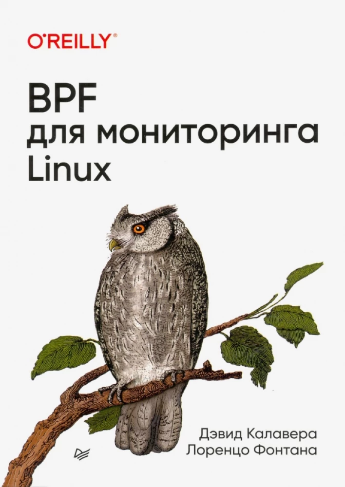 BPF priekš Linux uzraudzības
