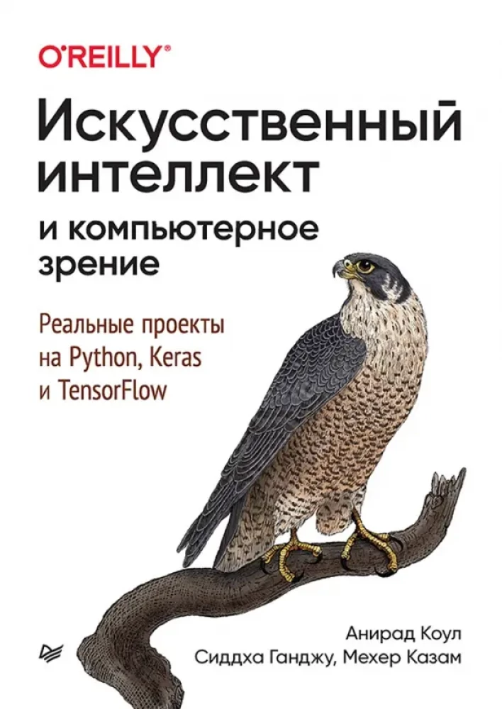 Mākslīgais intelekts un datorredze. Reālie projekti Python, Keras un TensorFlow