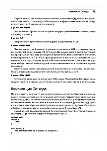 Golang profesionāļiem: darbs ar tīklu, daudzplūsmu, datu struktūrām un mašīnmācīšanos ar Go