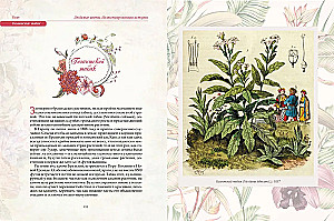 Mīļākie ziedi. Ilustrēta stāsts