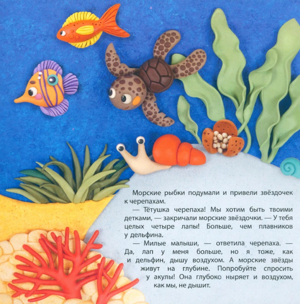 Морские звезды находят семью