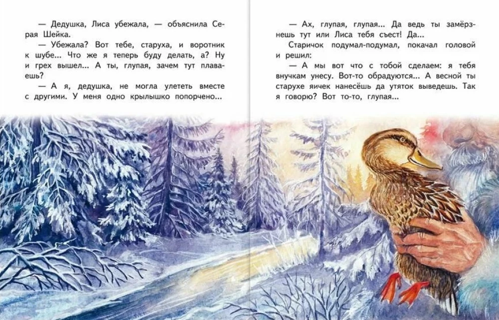 Pelēkā Kakla