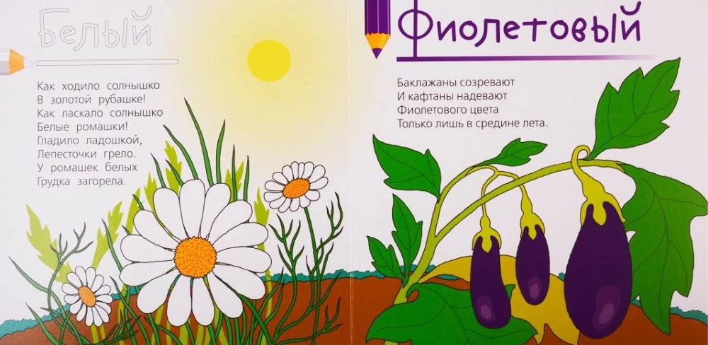 Цвета