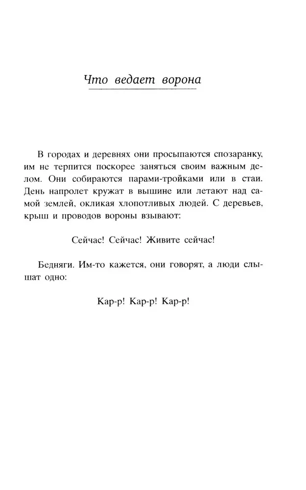 О чем весь город говорит