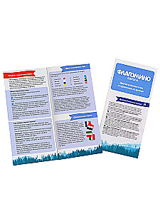 Настольная игра - Флагомино Европа