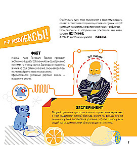 Tima piedzīvojumi pazudušā apetītes meklējumos