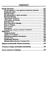 Ростов-папа. История воровской столицы России. Конец XVIII — начало XX в.