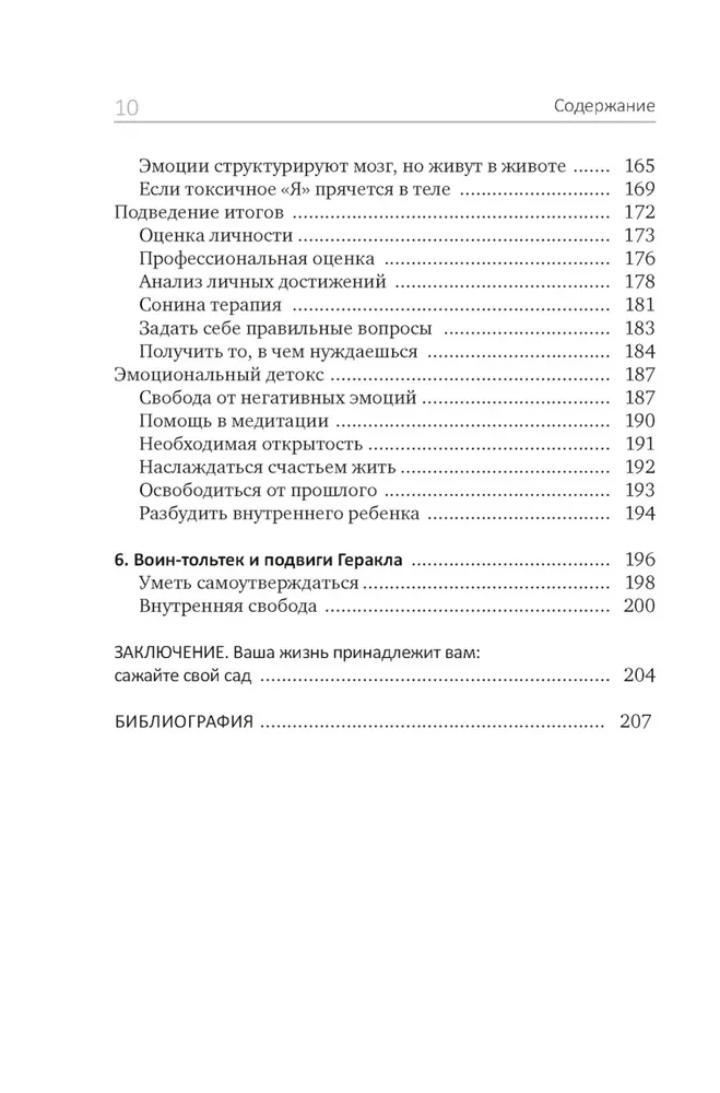 Детокс внутреннего Я. Как избавиться от самотоксичности и стать свободным